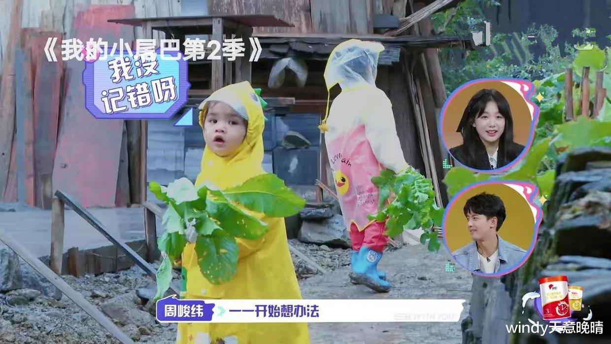 我的小尾巴|骗你生女儿的综艺，入股不亏