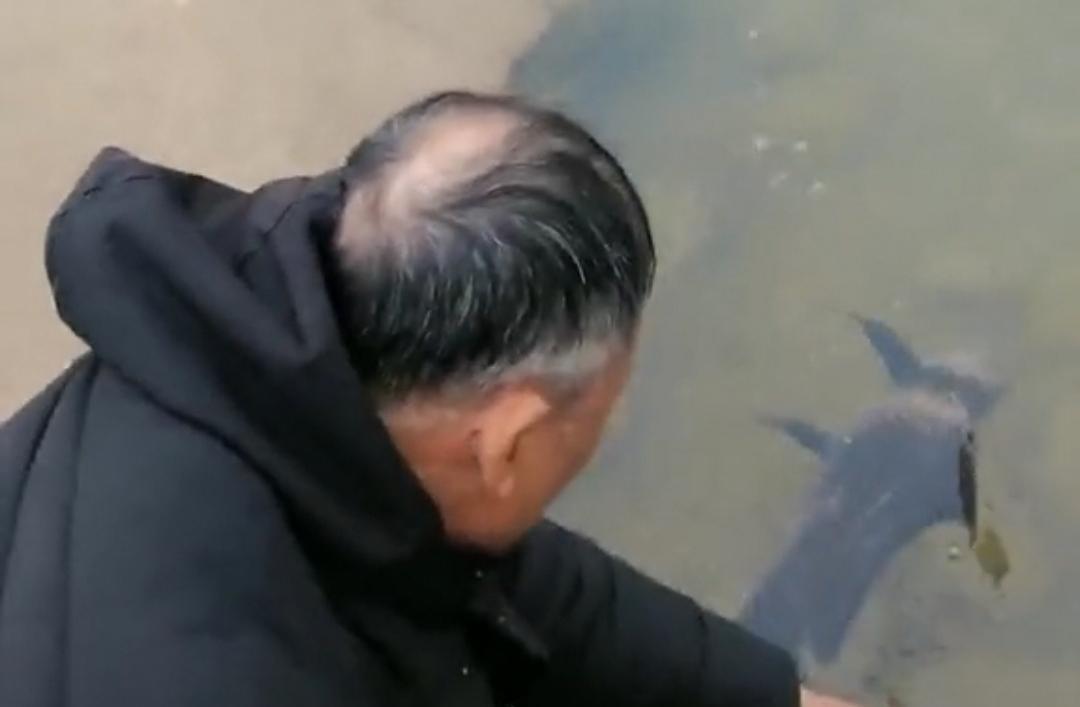 “牢底坐穿鱼”重庆大爷江里钓起一条大鱼,看清后转身就放了