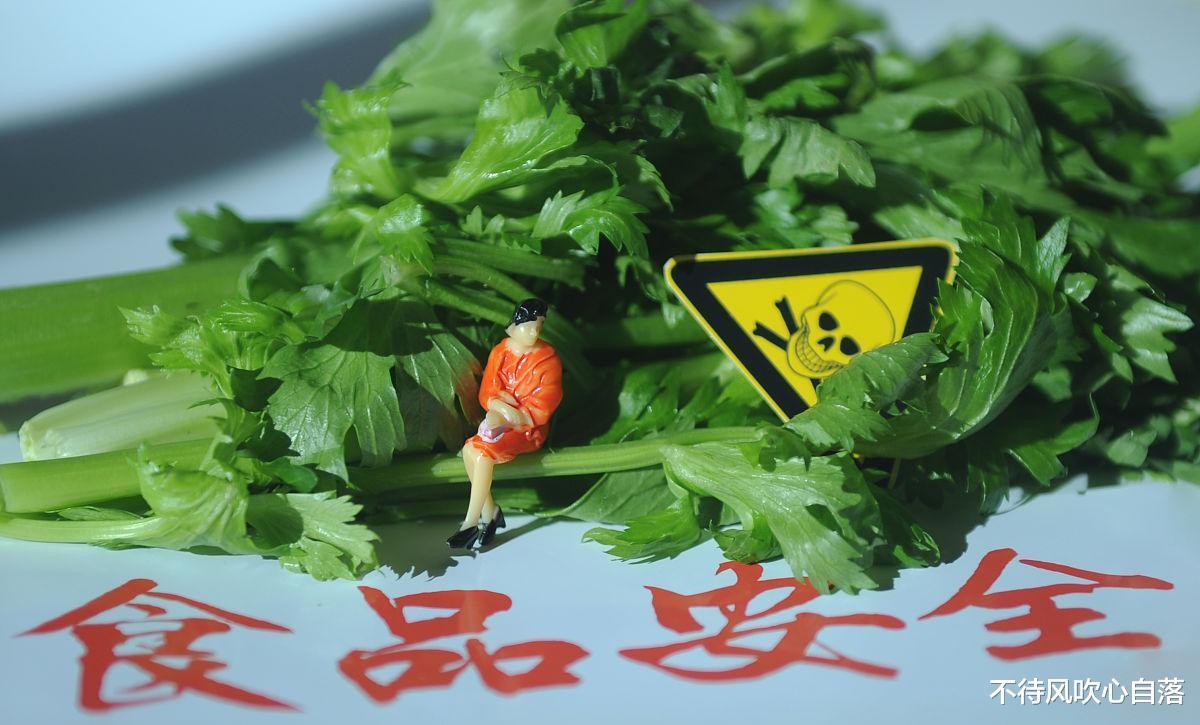 否认双标？站在消费者的角度考虑，我们想要的究竟是什么？