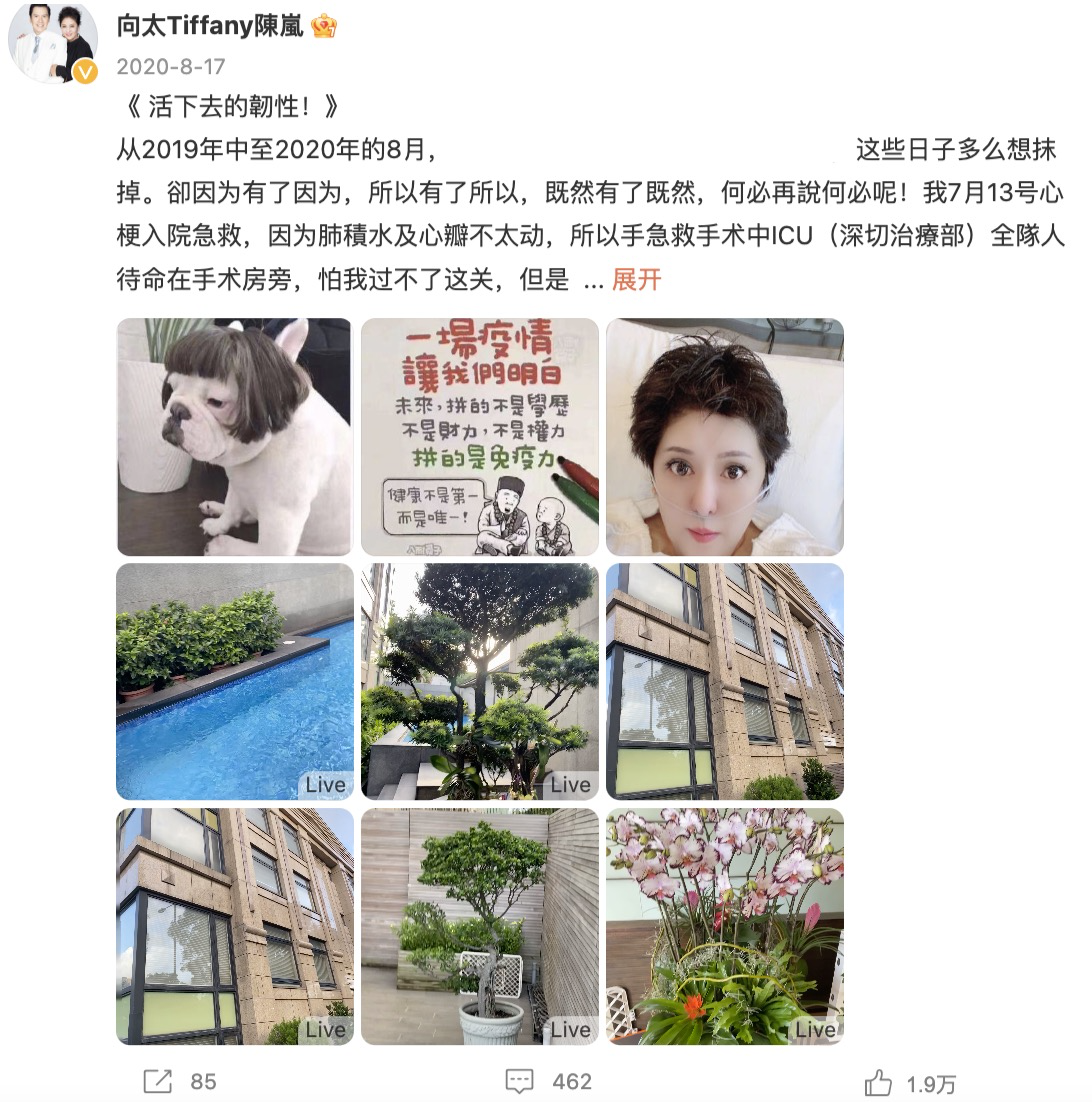 向太|向太追赵丽颖新剧,分享《风吹半夏》观后感,感叹经历与女主很像