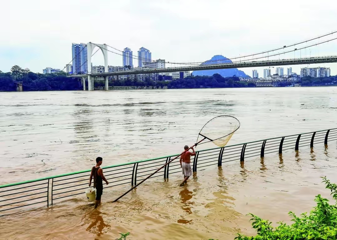 广西暴雨涨水后男子路上捞鱼