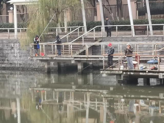 饵料|独自钓鱼总爆护,结伴出钓就空军?并非迷信,告诉你真正的原因