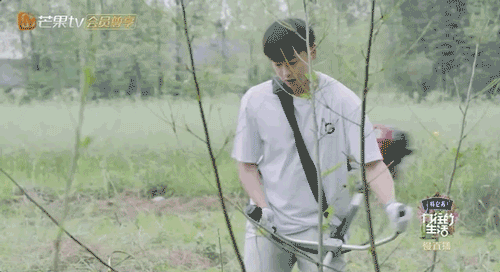 彭昱畅|他才是内娱顶级资源咖?