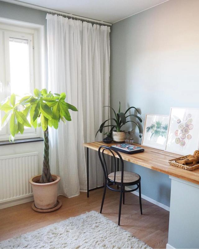 瑞典女主的老房改造,只有旧家具和绿植装饰,网友:真的服了