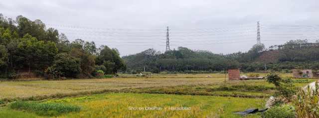 一加科技|带一加10 Pro回家过年，用哈苏色彩感受广东年味