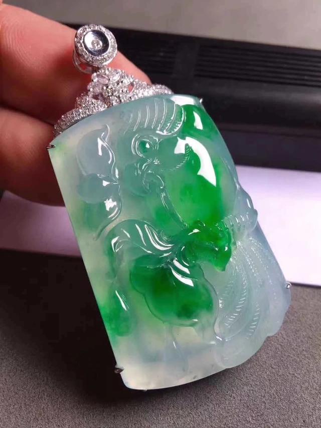 鹦鹉|鹦鹉殊姿致,鸾皇得比肩,翡翠鹦鹉的寓意你知道哪些呢?