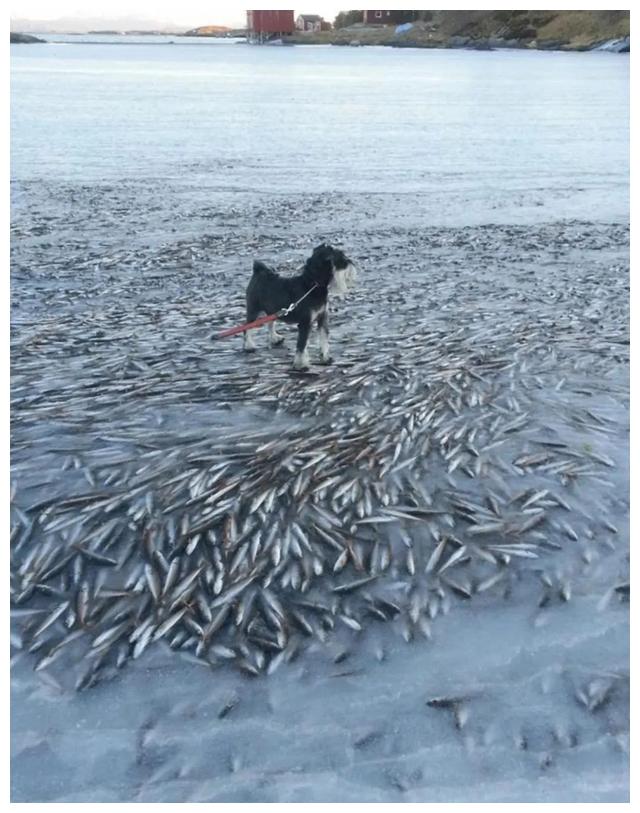 30张见所未见的照片,证明大自然无所不能