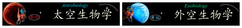孤身一星游荡于星际空间中的星际行星和星际恒星是什么样的天体