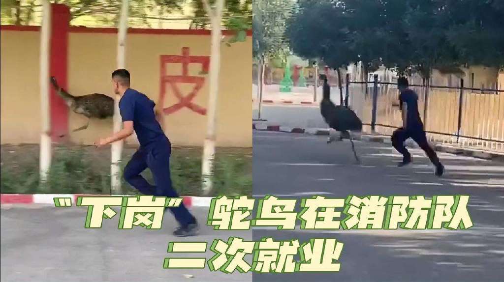 戛纳|42岁汤唯无缘戛纳奖项遗憾而归;女生因以前感染过新冠被开除