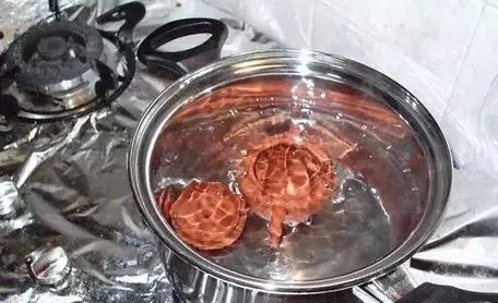 |紫砂壶没有越养越润，反倒暗淡无光的原因