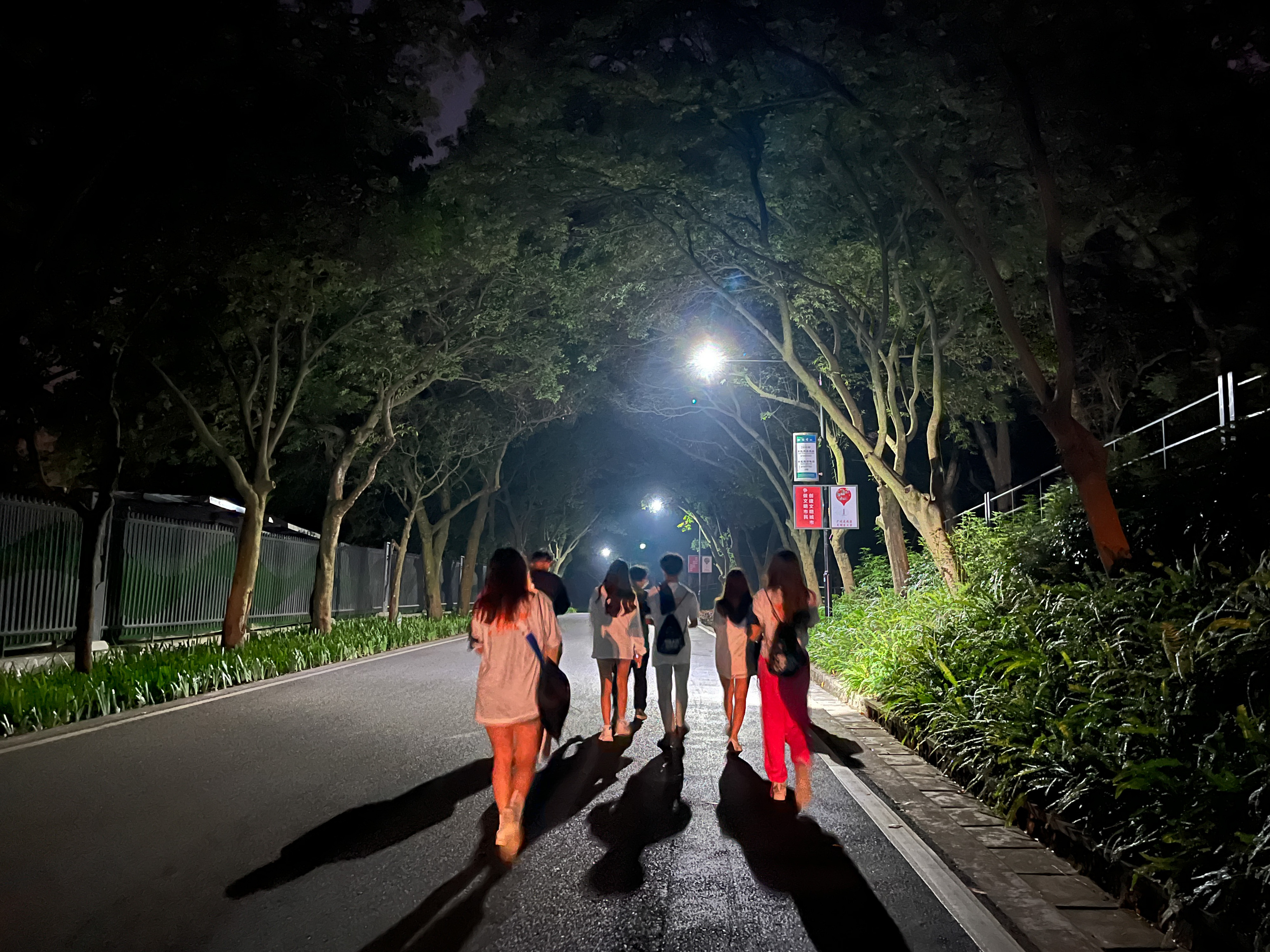 广州市|广州周末玩法再升级！白云山观战世界杯，已成年轻人户外“新宠”