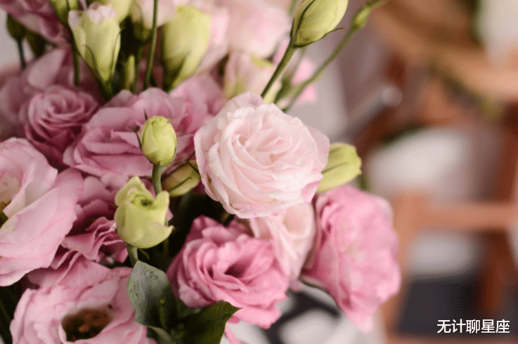 |今年,4个星座,不怕苦不怕累,抗压能力强,职场上直上青云