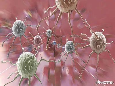 癌细胞|关于癌细胞，你了解多少？老中医建议，要防癌，最好做好这些
