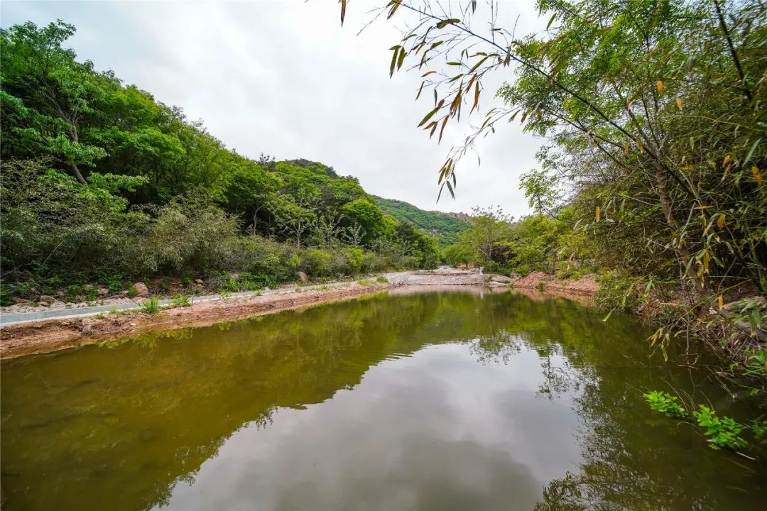 |不低调了！海阳招虎山景区全新升级，即将对外开放！