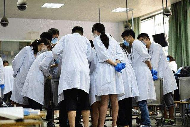 第一名|“理想型”女友的职业排行，榜首难以驾驭，前三都是大家认可的！