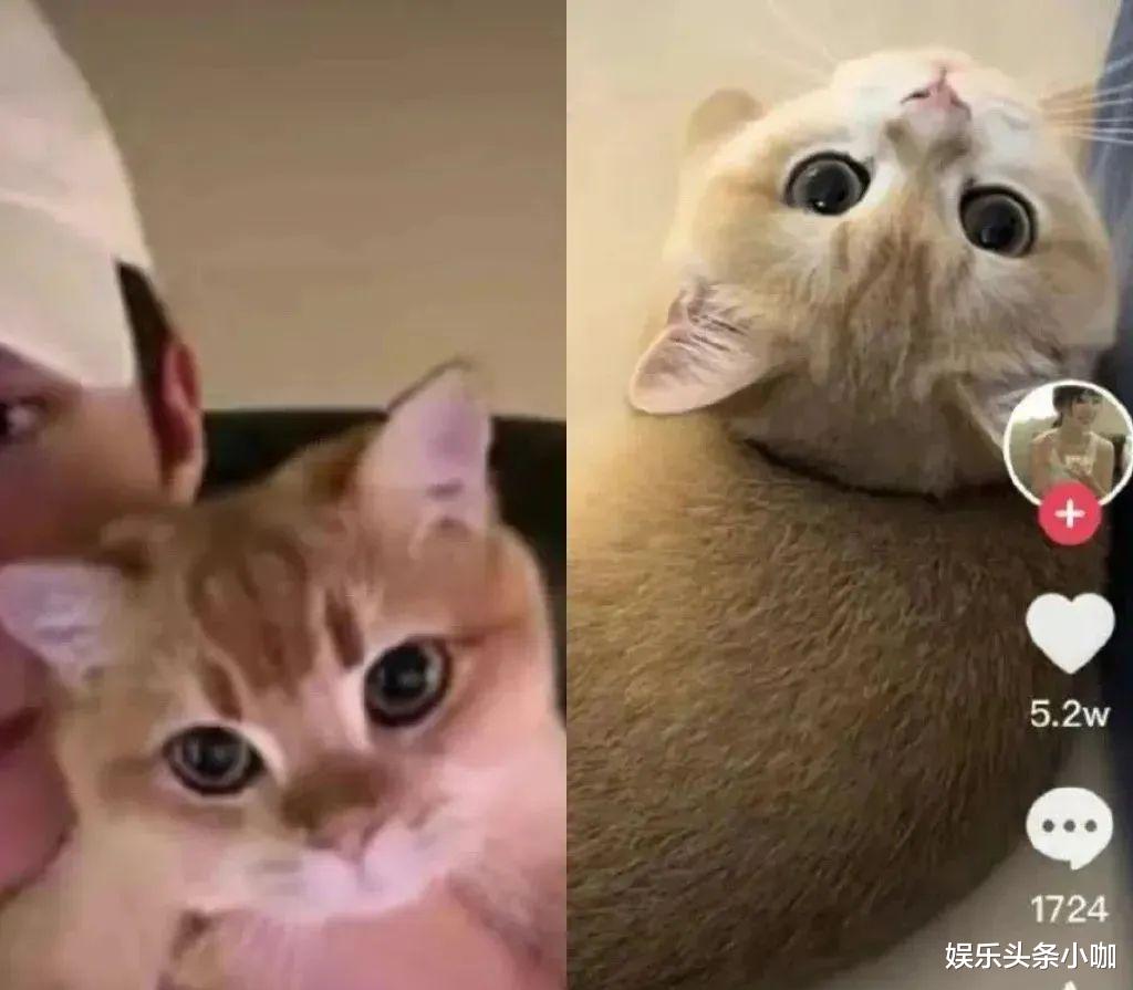 李小璐|离婚后彻底放飞自我，璐的审美，真是多年如一日的稳定！