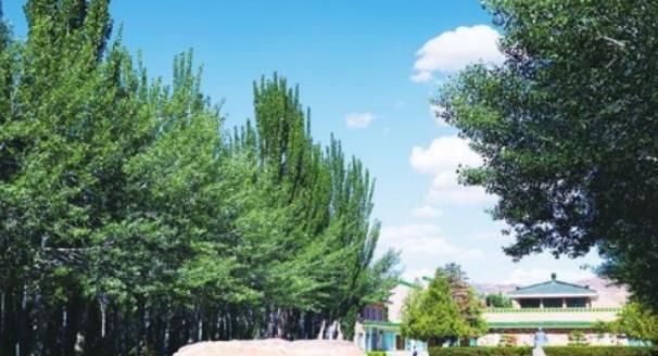 甘肃|甘肃一公务员岗位门可罗雀，与工资待遇关系不大，原因有点心酸