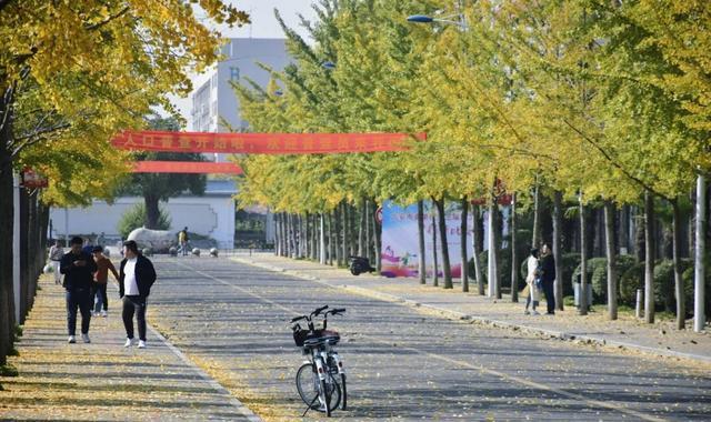 求职|皖西学院:确保2023年申硕成功!