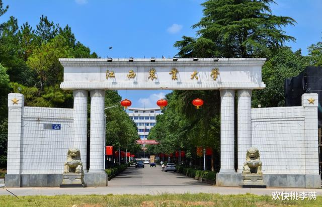 专升本|“专升本”迎来新变化，预计2022全面实行，专科生找工作可能更难