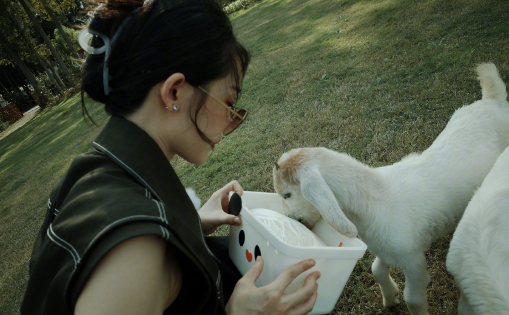 郑恺|郑恺携苗苗参加《妻子6》,土味情话表白爱妻:后悔没早点遇到你