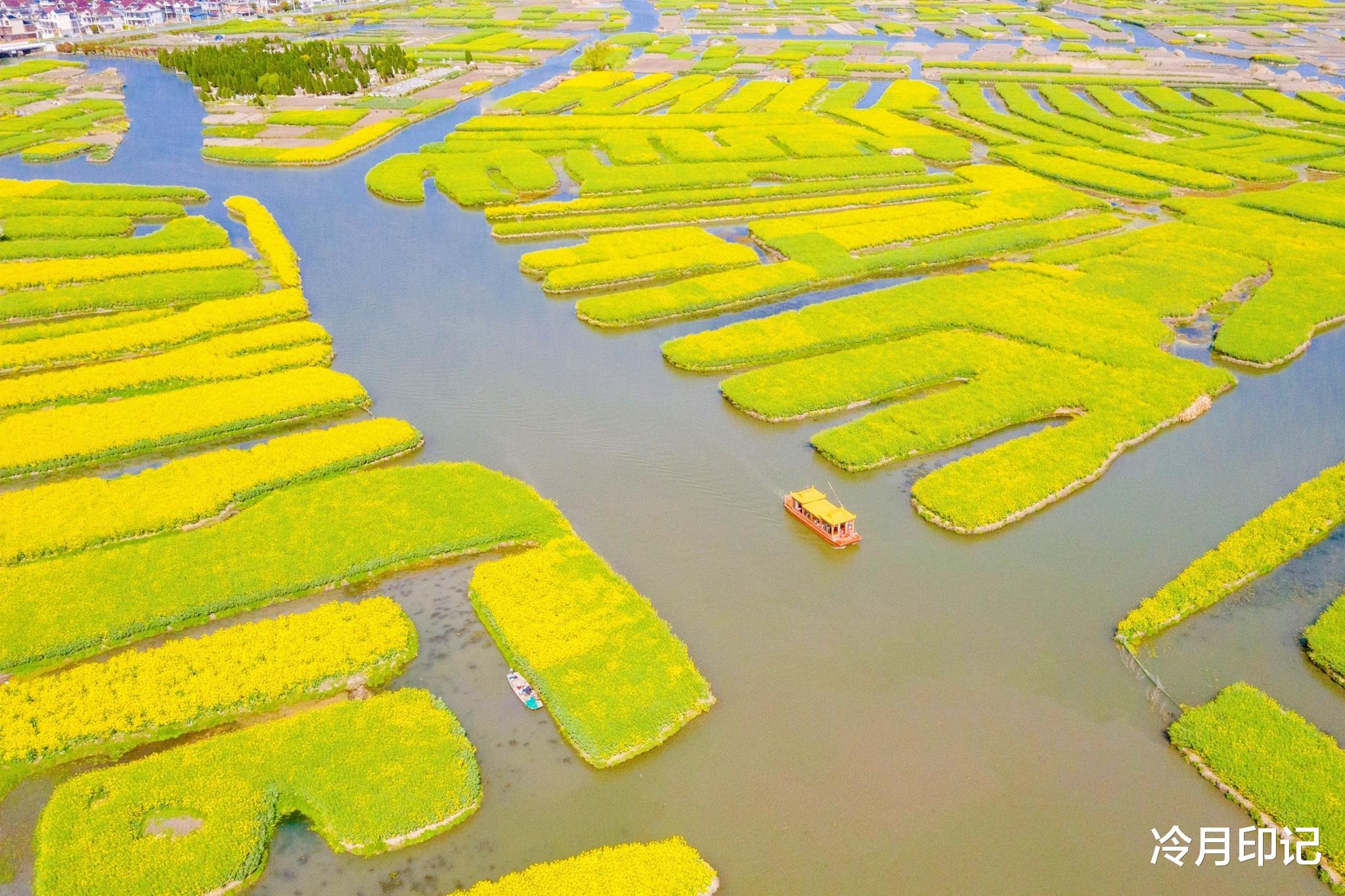 油菜花|“长在水上”的油菜花田，是全球四大花海之一，景色如诗如画