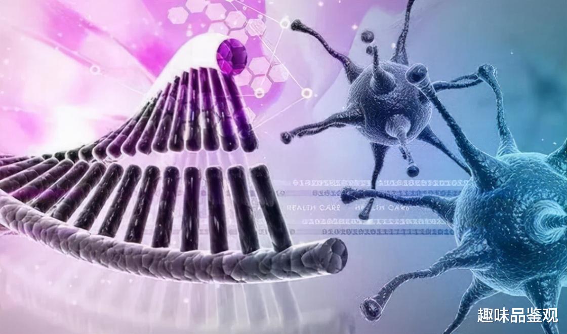 随着人类进化而消失的5个功能,第三只眼和动耳神功,太可惜了