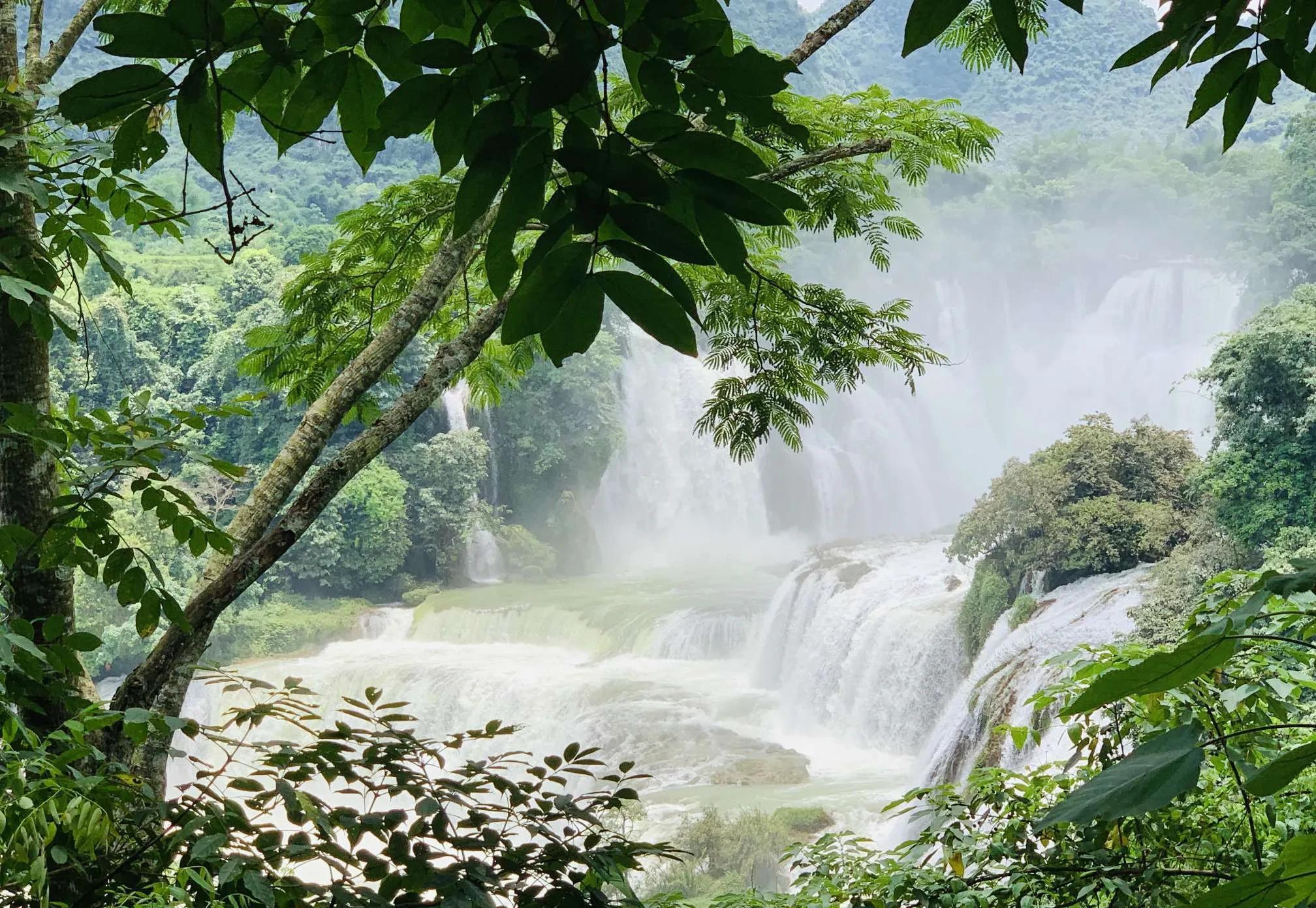 柿子|广西-崇左八景