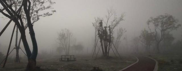 神剑|职场上,越厉害的人,越懂得隐藏这4点,不鸣则已,一鸣惊人