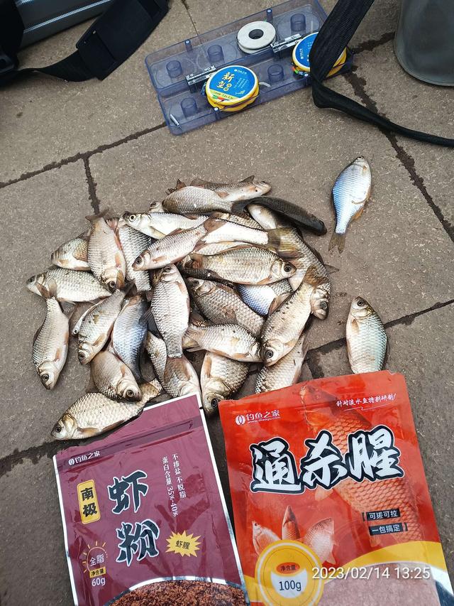 |【钓鱼之家虾粉】昨日鱼口稀少,今日连杆不断,虾粉助力收获满满