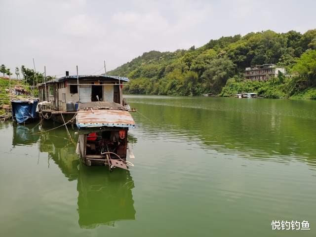 芝罘|有幸游钓了一圈儿大西南，不仅风光好还解锁了不少当地的鱼儿
