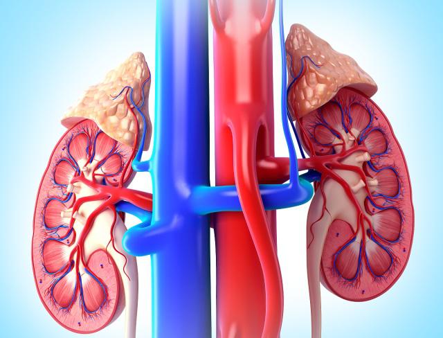 排毒|肾脏不好的人，应注意“4多吃，5少吃”，肾脏可能会“感激”