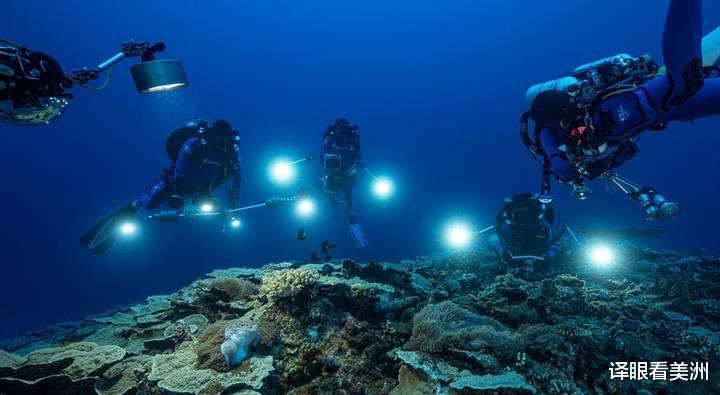 科学家在大溪地发现玫瑰状珊瑚，系同类水域深度中规模最大珊瑚群