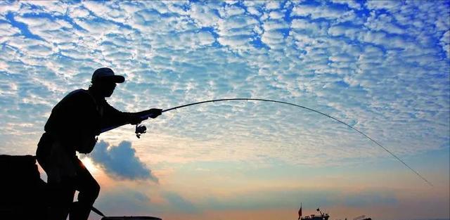 银环蛇|广西一男子晚上河边钓鱼，“米级”银环蛇不请自来，网友：骗人的