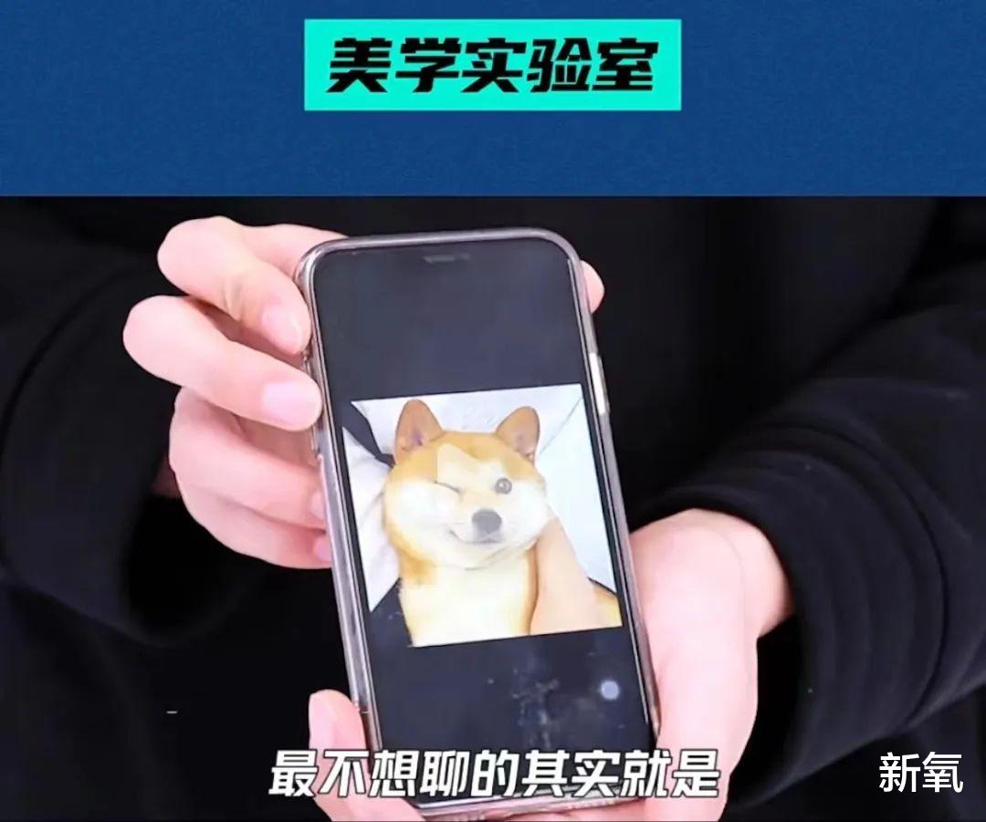 韩素希|韩素希本人在拍照这块确实有一套