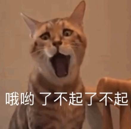教师|热衷考证的工程人，实则是在缓解生活的不安？这份书单或许有答案