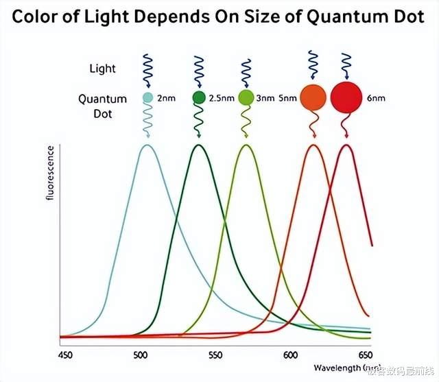 数据库|量子点、miniLED、OLED都是啥？它与LED显示器的区别在哪