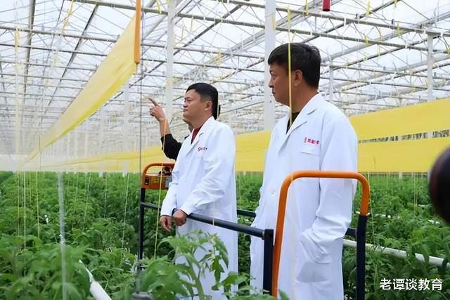 智能手表|阿里究竟怎么啦？高层频频变动张勇卸任，释放出来了哪些信号？