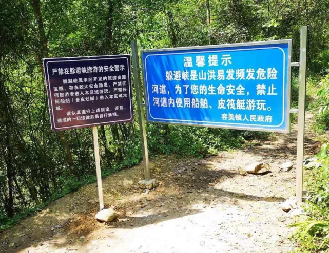 露营|7人丧命！夺命悲剧背后，谁是幕后推手？