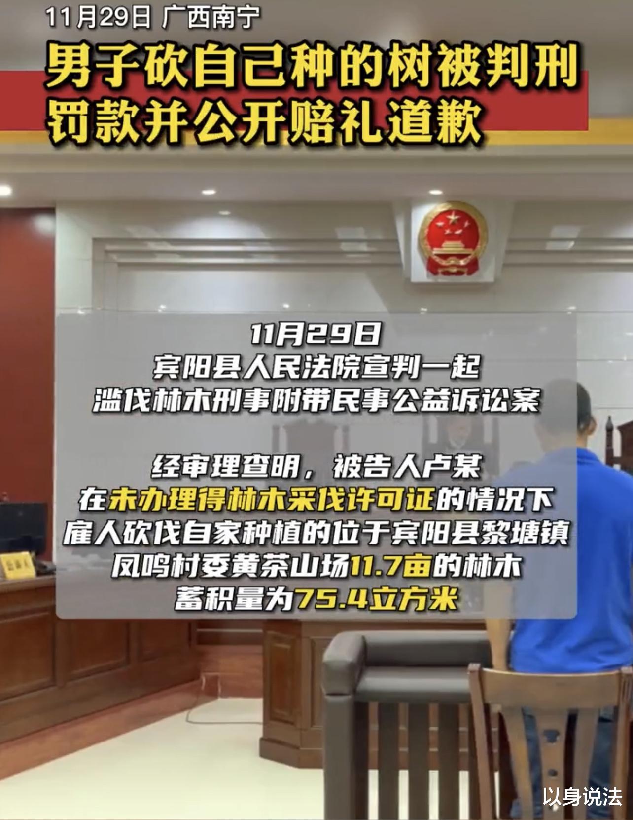 广西南宁,一男子因砍伐自家树木被判刑两年半