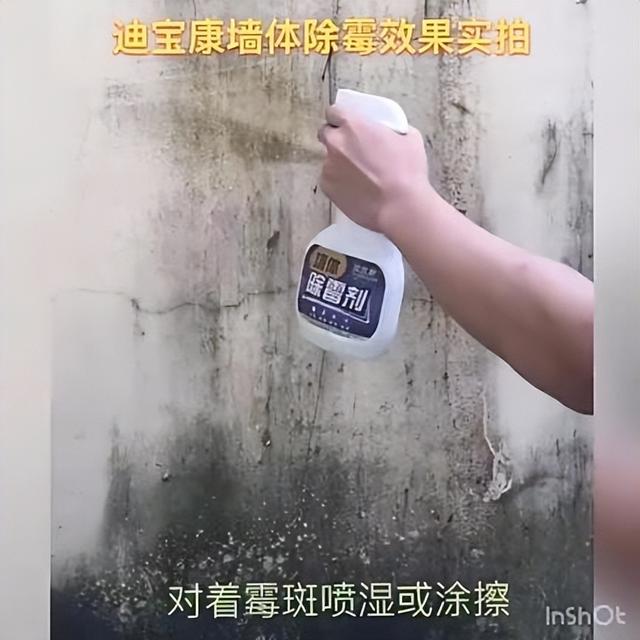 卧室墙面发霉变黑,千万别再睡了,教你一招,轻松去除墙体霉斑