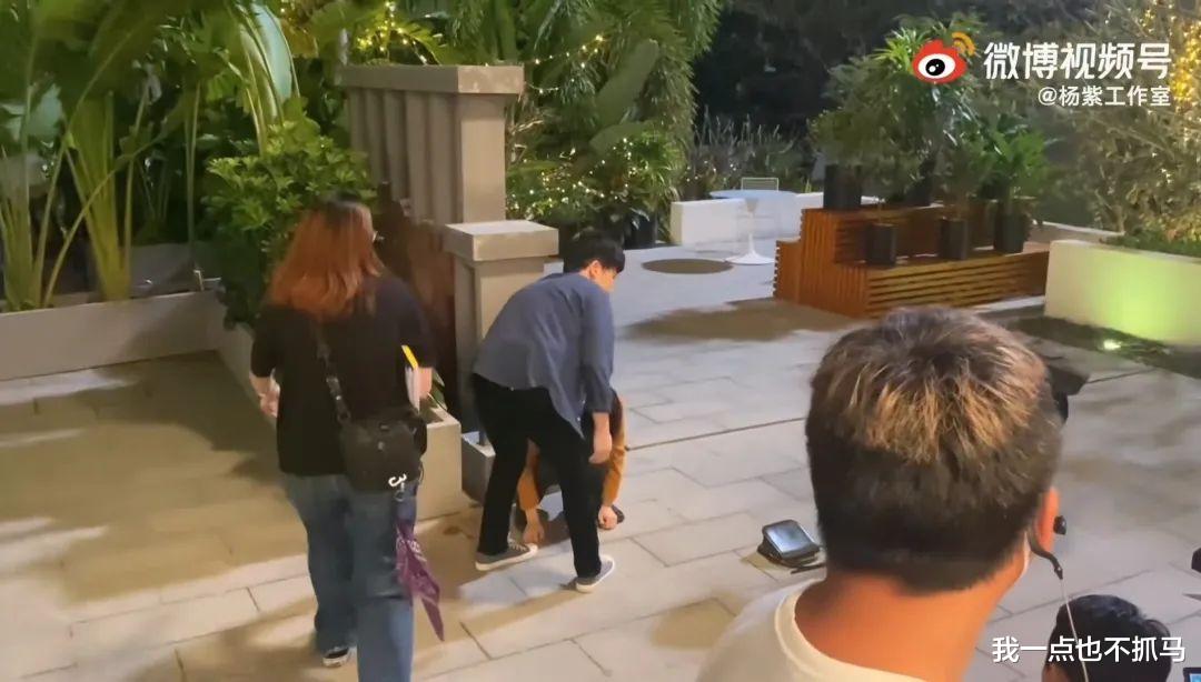 杨紫|都说她可爱,但其实她是个狠人?