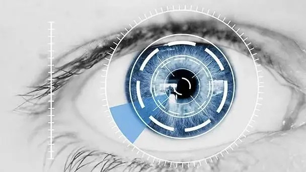 感性认识中的感觉与感知（五）