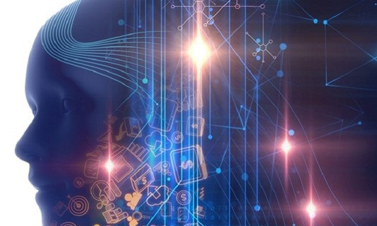 社交|人類的大腦學會了對社交線索做出反應，而不是用來區分真假線索