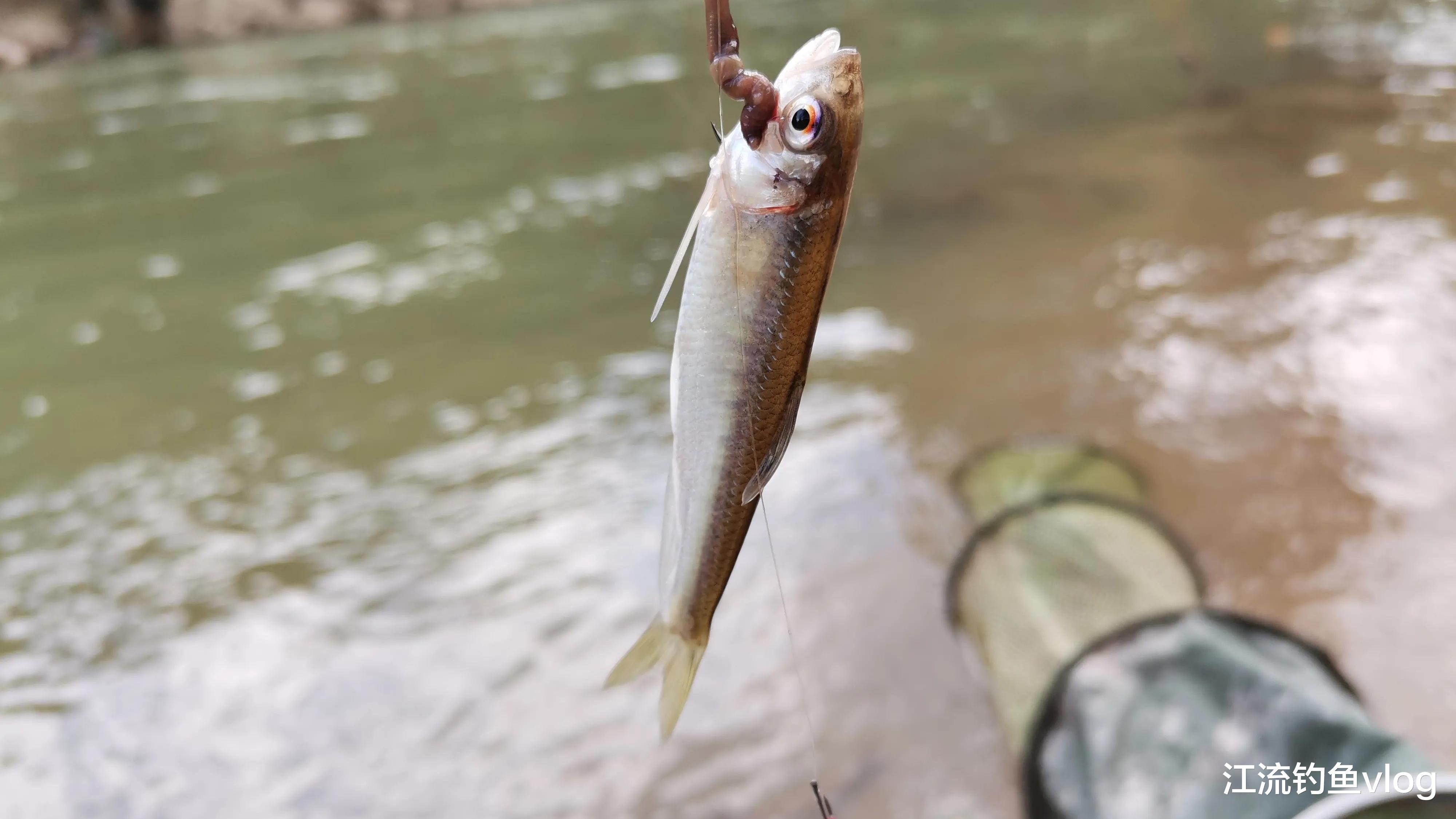 |“绷尖钓法”,大家都懂,可未必都能用得好