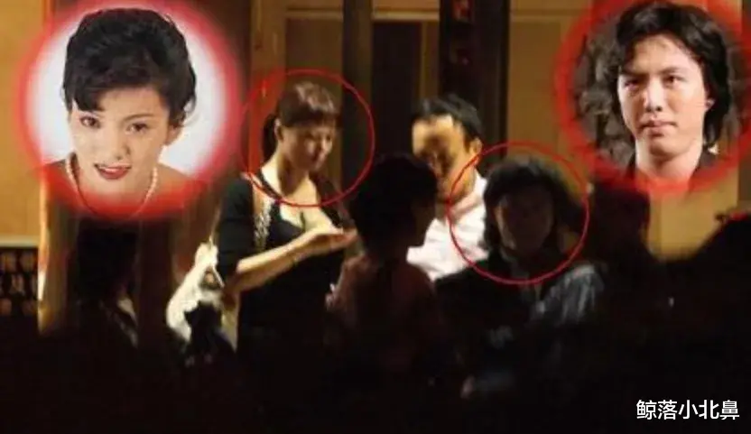 张歆艺|娱乐圈里大快人心的现世报