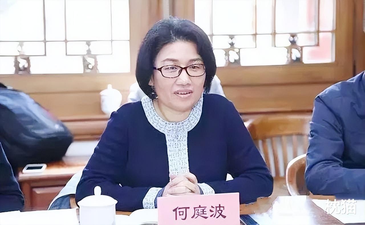 上海市|郑宝用：25岁放弃清华博士学位，助华为赚几百亿，38岁却患癌退休