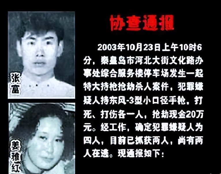 犯罪团伙制造五起命案,警方迅雷抓捕,匪首:自杀都来不及