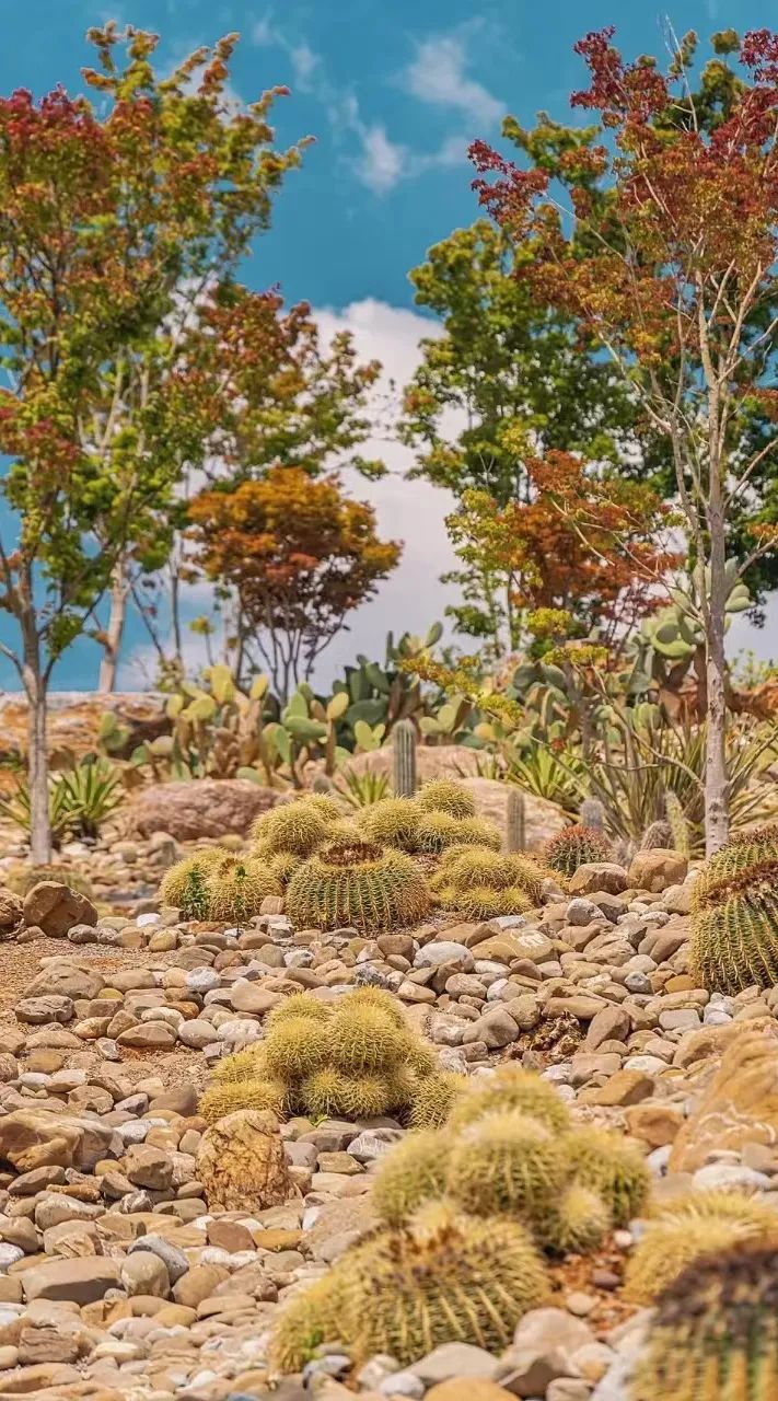 无量山|挖到一座20℃的避世小城，人均30畅泡温泉，一秒穿越摩洛哥，秋冬躺平正合适！