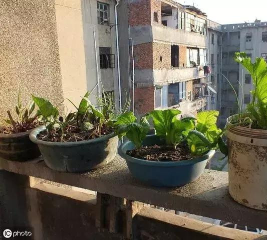 “卧室带阳台”的和“客厅带阳台”的房子哪个好？住进去就知道了