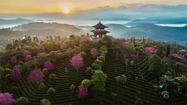 成都|重磅！普洱思茅机场明日起复航，“诗和远方”免门票游起来